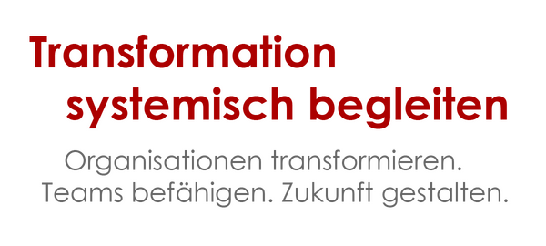 Systemische Organisationsentwicklung - Netzwerke in Organisationen stärken.